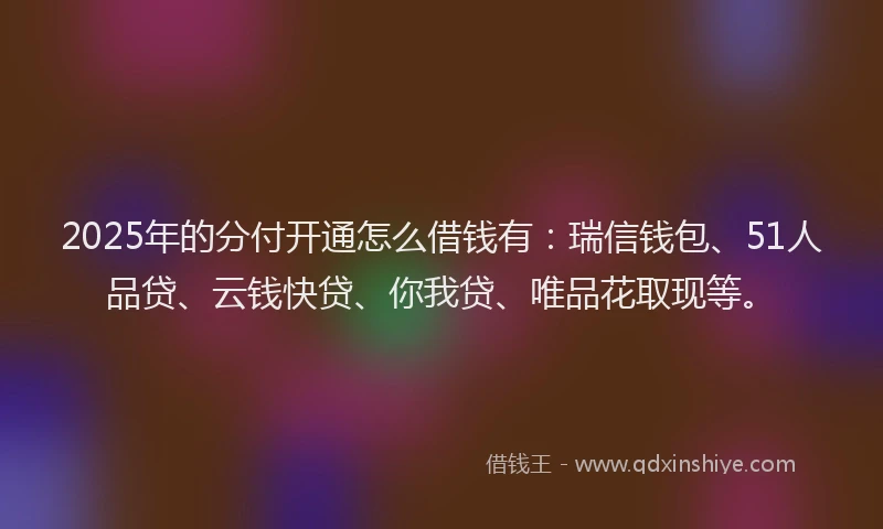 2025年的分付开通怎么借钱有：瑞信钱包、51人品贷、云钱快贷、你我贷、唯品花取现等。