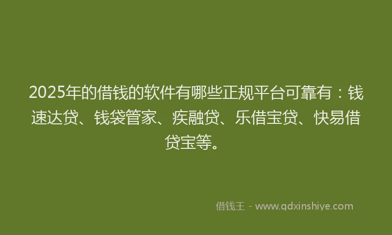 2025年的借钱的软件有哪些正规平台可靠有：钱速达贷、钱袋管家、疾融贷、乐借宝贷、快易借贷宝等。