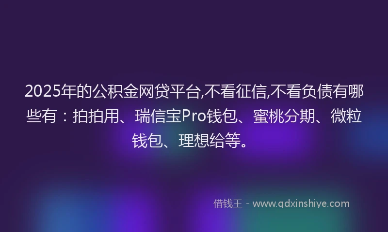 2025年的公积金网贷平台,不看征信,不看负债有哪些有：拍拍用、瑞信宝Pro钱包、蜜桃分期、微粒钱包、理想给等。