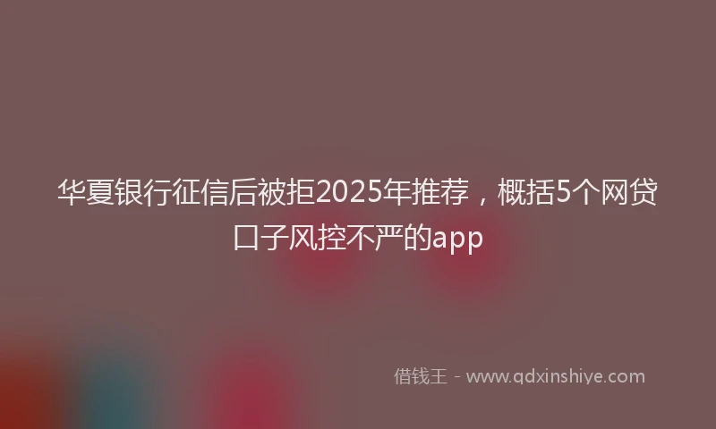 华夏银行征信后被拒2025年推荐，概括5个网贷口子风控不严的app