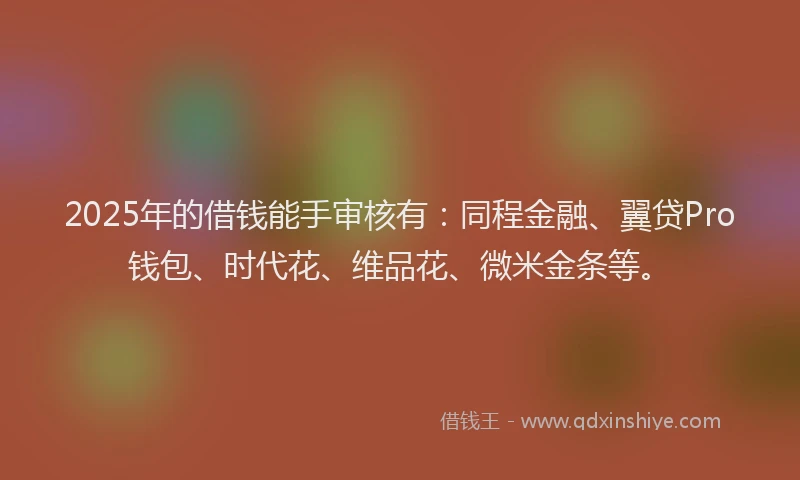 2025年的借钱能手审核有：同程金融、翼贷Pro钱包、时代花、维品花、微米金条等。