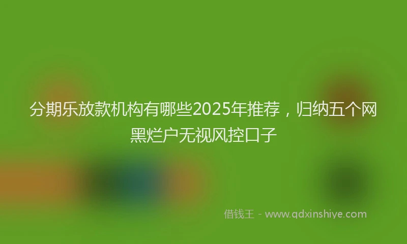 分期乐放款机构有哪些2025年推荐，归纳五个网黑烂户无视风控口子