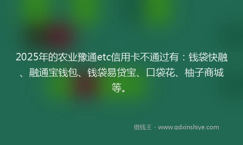 2025年的农业豫通etc信用卡不通过有：钱袋快融、融通宝钱包、钱袋易贷宝、口袋花、柚子商城等。