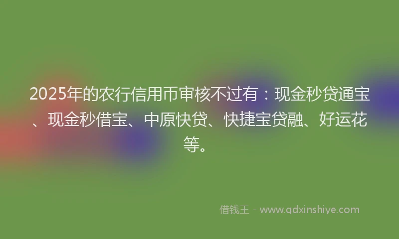 2025年的农行信用币审核不过有：现金秒贷通宝、现金秒借宝、中原快贷、快捷宝贷融、好运花等。