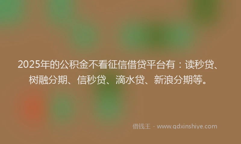 2025年的公积金不看征信借贷平台有：读秒贷、树融分期、信秒贷、滴水贷、新浪分期等。