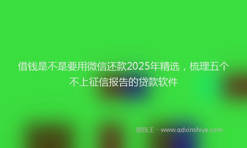 借钱是不是要用微信还款2025年精选，梳理五个不上征信报告的贷款软件