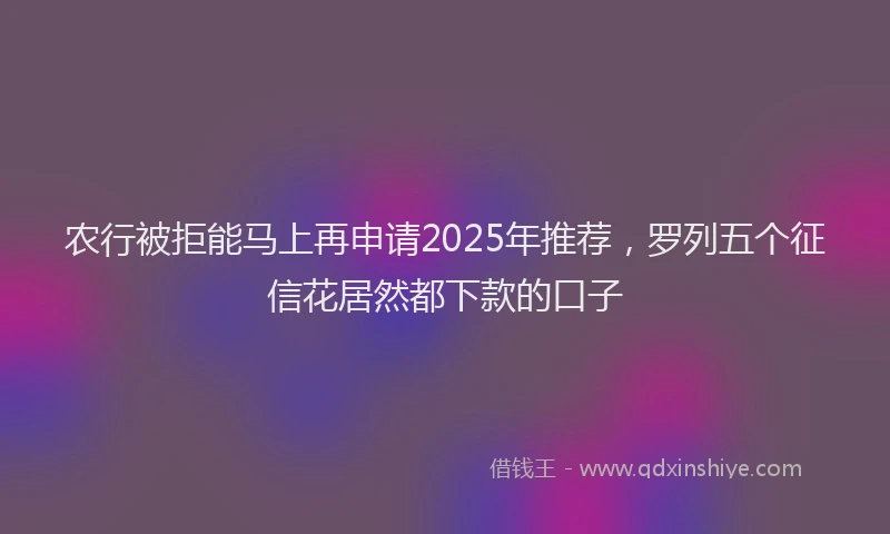 农行被拒能马上再申请2025年推荐，罗列五个征信花居然都下款的口子