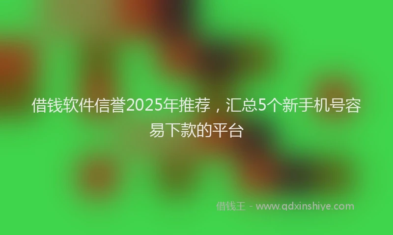 借钱软件信誉2025年推荐，汇总5个新手机号容易下款的平台