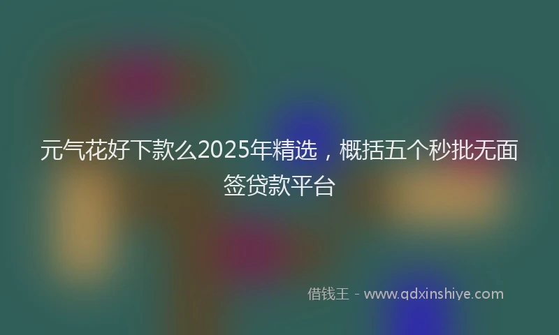 元气花好下款么2025年精选，概括五个秒批无面签贷款平台