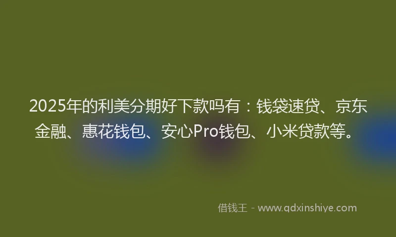 2025年的利美分期好下款吗有：钱袋速贷、京东金融、惠花钱包、安心Pro钱包、小米贷款等。