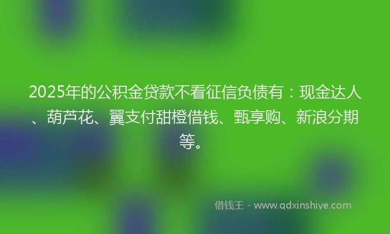 2025年的公积金贷款不看征信负债有：现金达人、葫芦花、翼支付甜橙借钱、甄享购、新浪分期等。