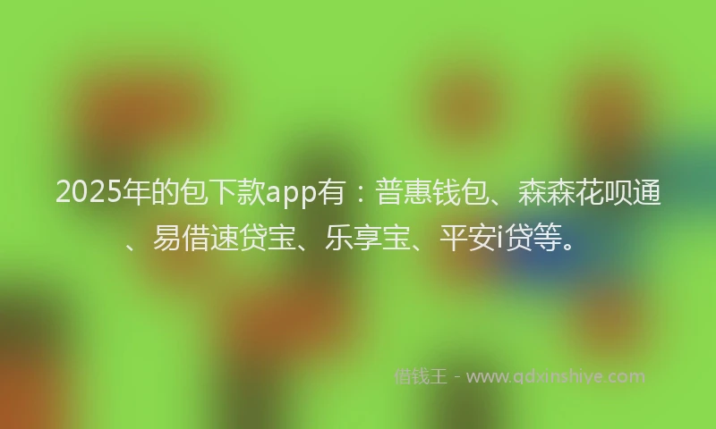 2025年的包下款app有：普惠钱包、森森花呗通、易借速贷宝、乐享宝、平安i贷等。