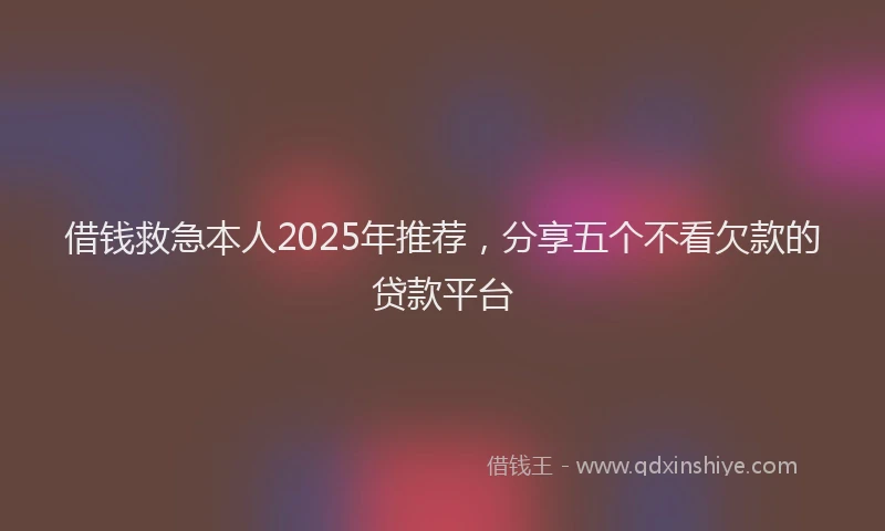 借钱救急本人2025年推荐，分享五个不看欠款的贷款平台