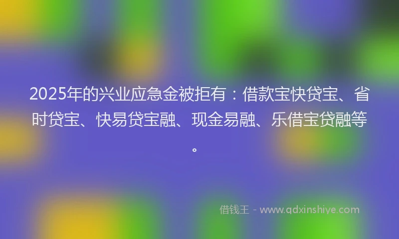 2025年的兴业应急金被拒有：借款宝快贷宝、省时贷宝、快易贷宝融、现金易融、乐借宝贷融等。