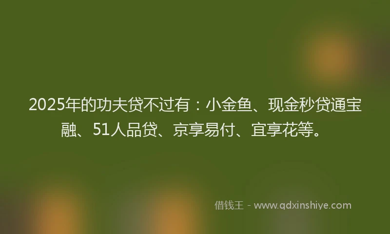 2025年的功夫贷不过有：小金鱼、现金秒贷通宝融、51人品贷、京享易付、宜享花等。