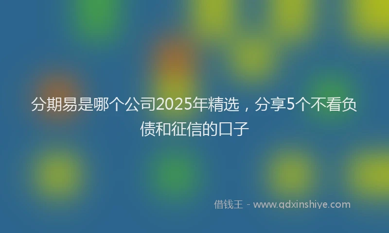 分期易是哪个公司2025年精选，分享5个不看负债和征信的口子