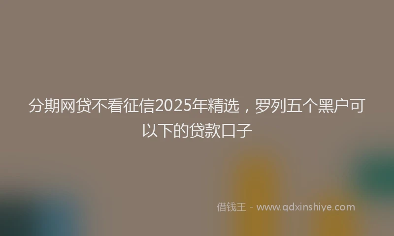 分期网贷不看征信2025年精选，罗列五个黑户可以下的贷款口子
