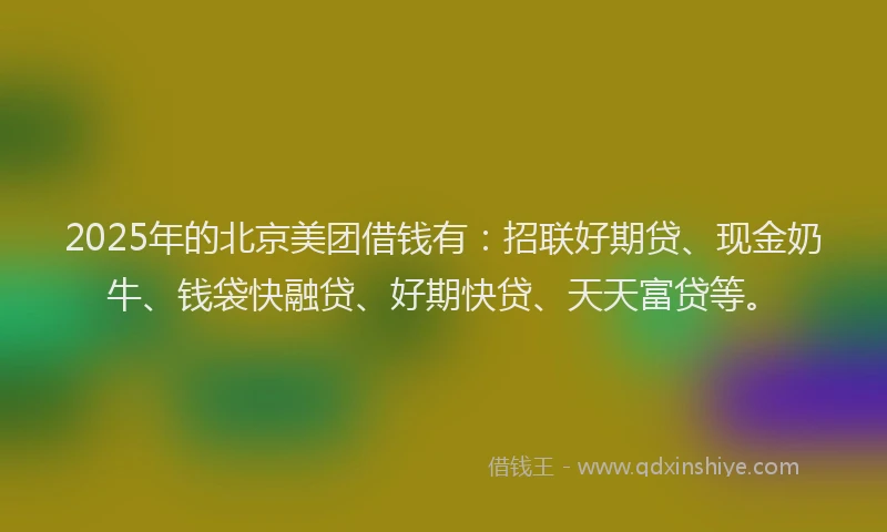 2025年的北京美团借钱有：招联好期贷、现金奶牛、钱袋快融贷、好期快贷、天天富贷等。