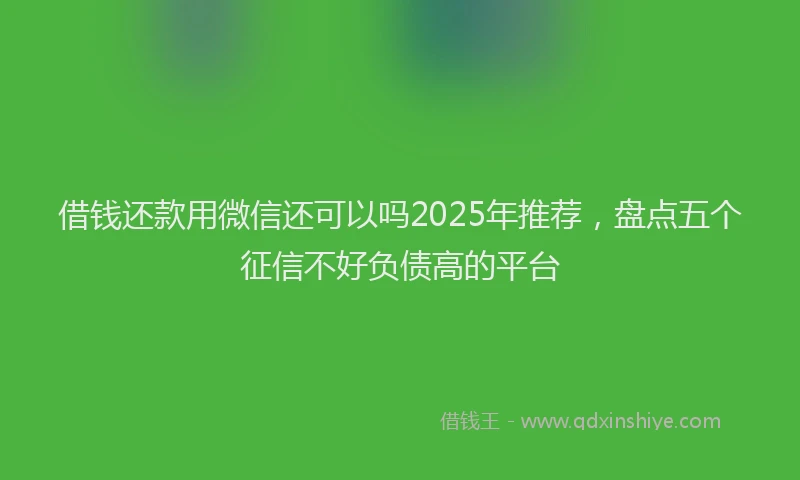 借钱还款用微信还可以吗2025年推荐，盘点五个征信不好负债高的平台