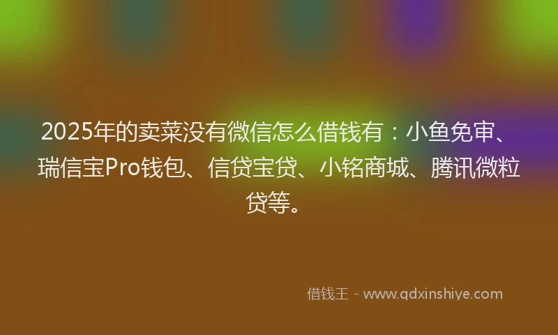 2025年的卖菜没有微信怎么借钱有：小鱼免审、瑞信宝Pro钱包、信贷宝贷、小铭商城、腾讯微粒贷等。