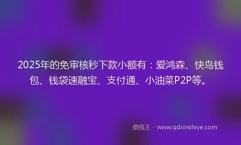 2025年的免审核秒下款小额有：爱鸿森、快鸟钱包、钱袋速融宝、支付通、小油菜P2P等。
