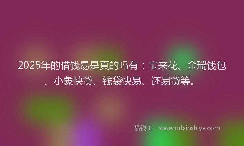 2025年的借钱易是真的吗有：宝来花、金瑞钱包、小象快贷、钱袋快易、还易贷等。