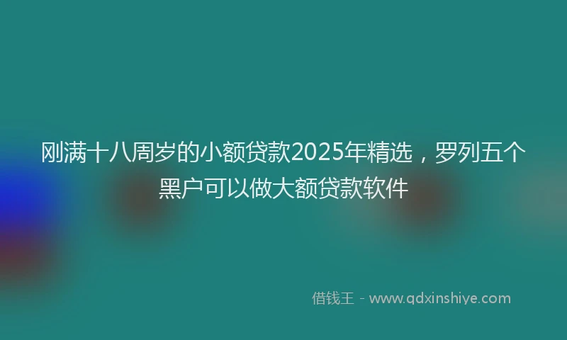 刚满十八周岁的小额贷款2025年精选，罗列五个黑户可以做大额贷款软件