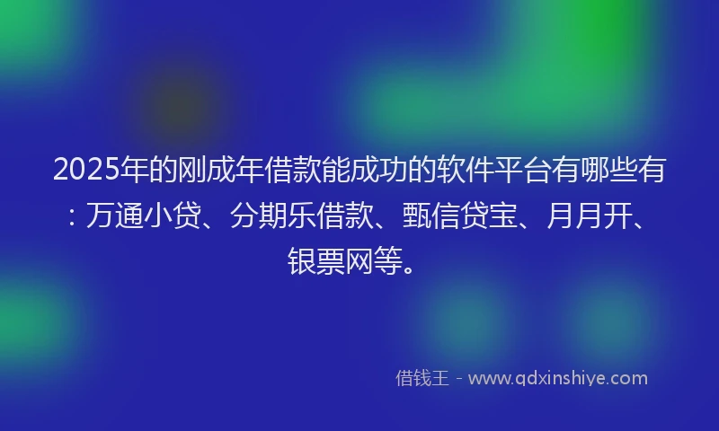 2025年的刚成年借款能成功的软件平台有哪些有：万通小贷、分期乐借款、甄信贷宝、月月开、银票网等。