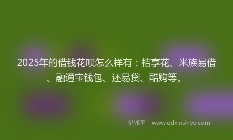 2025年的借钱花呗怎么样有：桔享花、米族易借、融通宝钱包、还易贷、酷购等。