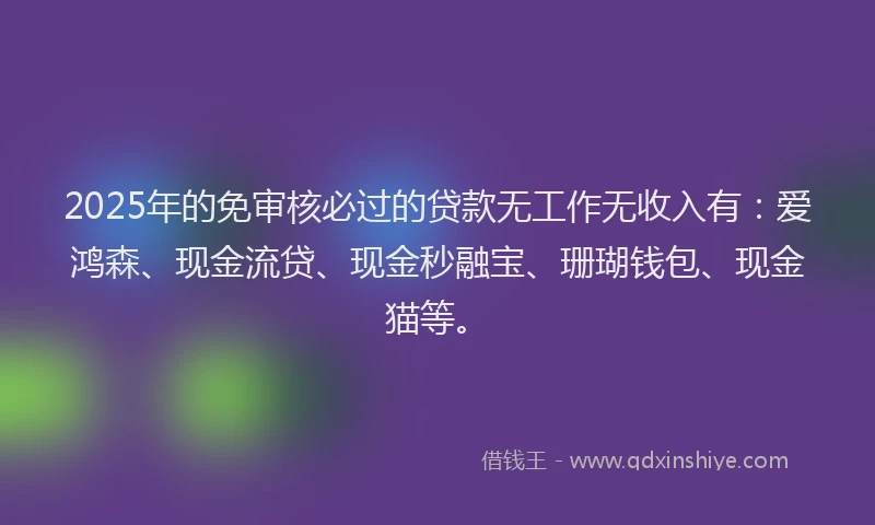 2025年的免审核必过的贷款无工作无收入有：爱鸿森、现金流贷、现金秒融宝、珊瑚钱包、现金猫等。