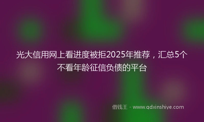 光大信用网上看进度被拒2025年推荐，汇总5个不看年龄征信负债的平台