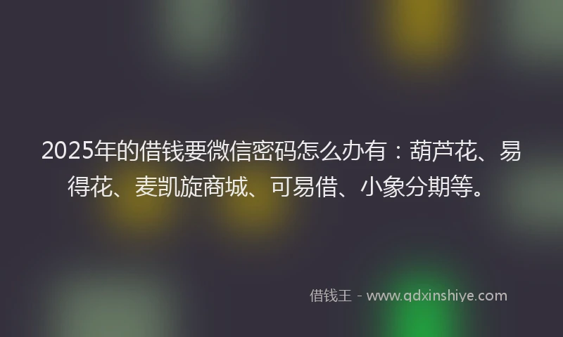 2025年的借钱要微信密码怎么办有：葫芦花、易得花、麦凯旋商城、可易借、小象分期等。