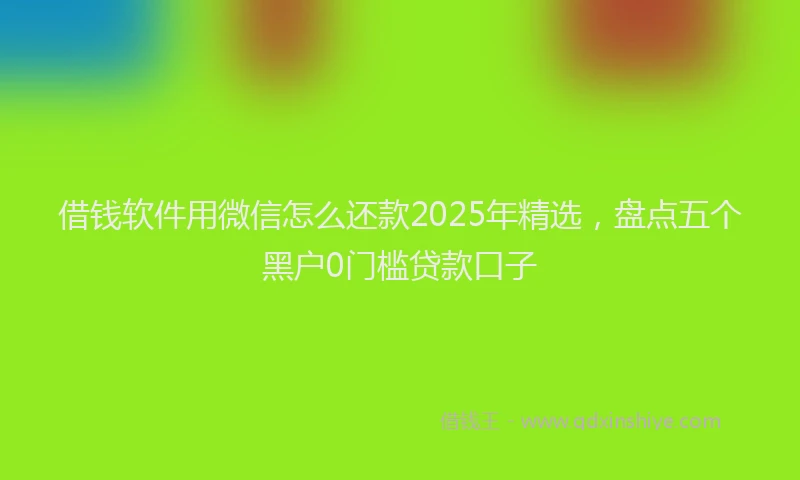 借钱软件用微信怎么还款2025年精选，盘点五个黑户0门槛贷款口子