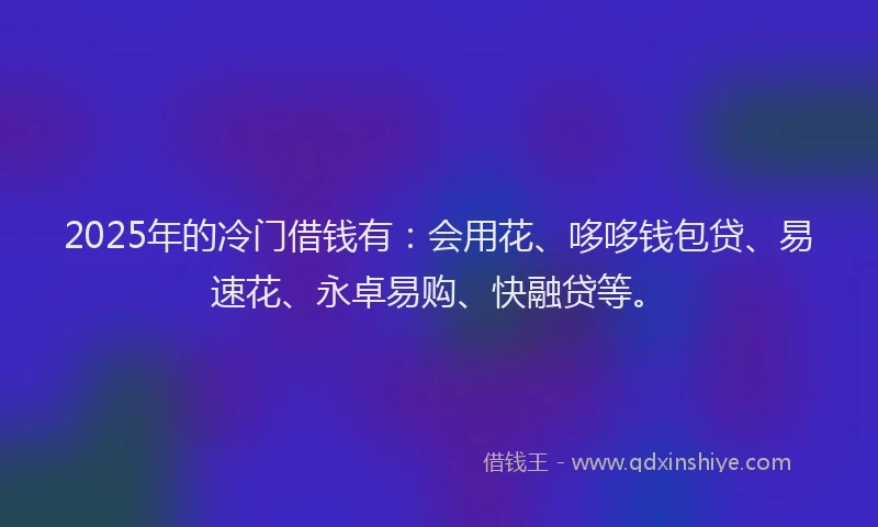 2025年的冷门借钱有：会用花、哆哆钱包贷、易速花、永卓易购、快融贷等。
