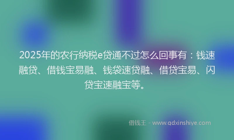 2025年的农行纳税e贷通不过怎么回事有：钱速融贷、借钱宝易融、钱袋速贷融、借贷宝易、闪贷宝速融宝等。