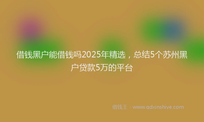 借钱黑户能借钱吗2025年精选，总结5个苏州黑户贷款5万的平台