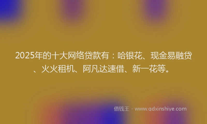 2025年的十大网络贷款有：哈银花、现金易融贷、火火租机、阿凡达速借、新一花等。