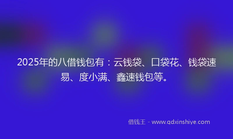 2025年的八借钱包有：云钱袋、口袋花、钱袋速易、度小满、鑫速钱包等。