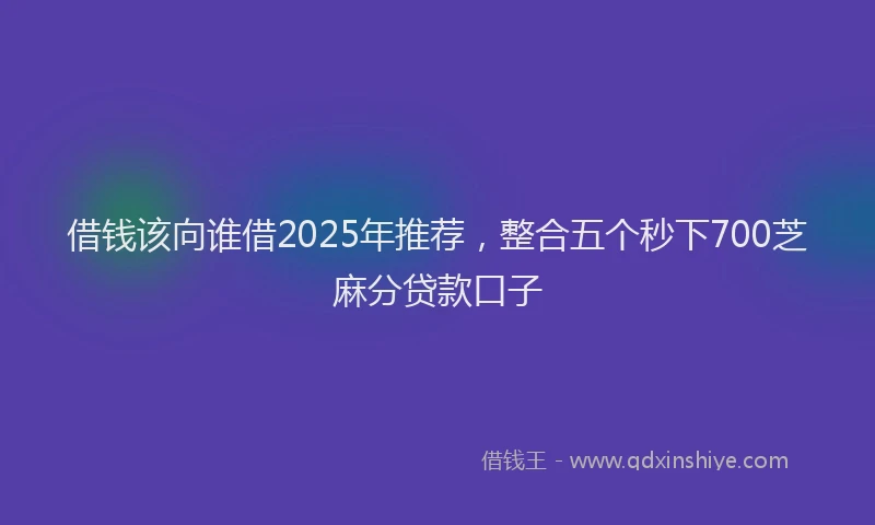 借钱该向谁借2025年推荐，整合五个秒下700芝麻分贷款口子