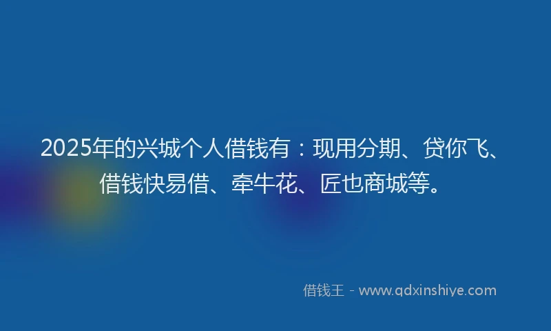 2025年的兴城个人借钱有：现用分期、贷你飞、借钱快易借、牵牛花、匠也商城等。