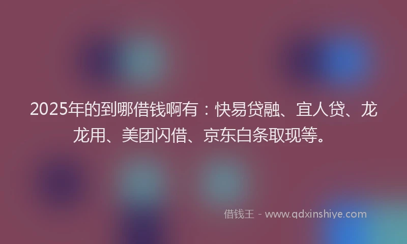 2025年的到哪借钱啊有：快易贷融、宜人贷、龙龙用、美团闪借、京东白条取现等。