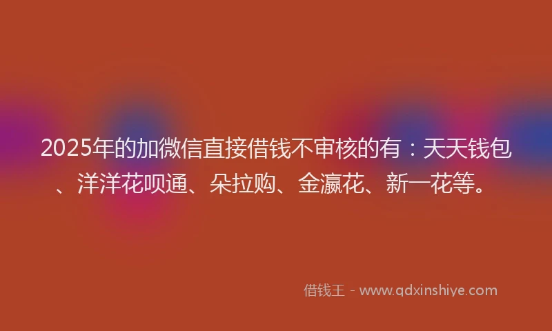 2025年的加微信直接借钱不审核的有：天天钱包、洋洋花呗通、朵拉购、金瀛花、新一花等。