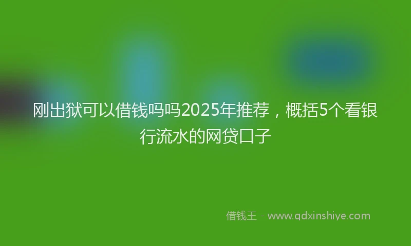 刚出狱可以借钱吗吗2025年推荐，概括5个看银行流水的网贷口子