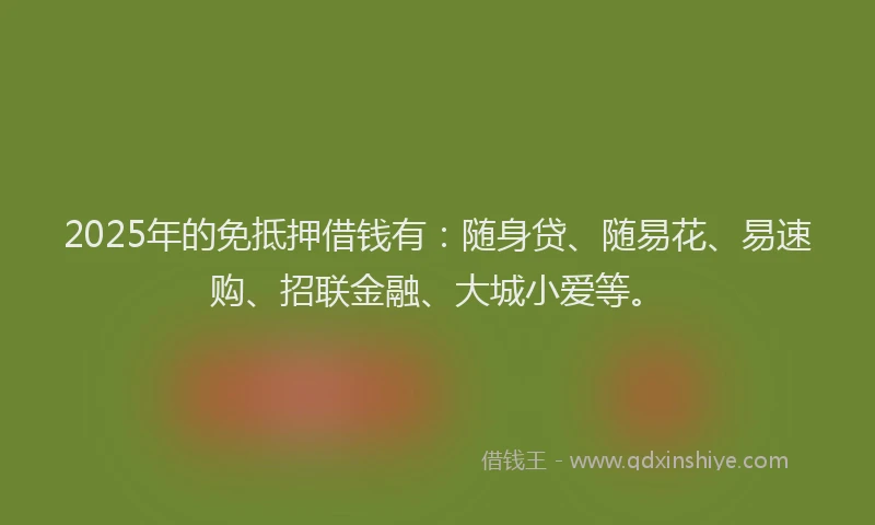 2025年的免抵押借钱有：随身贷、随易花、易速购、招联金融、大城小爱等。
