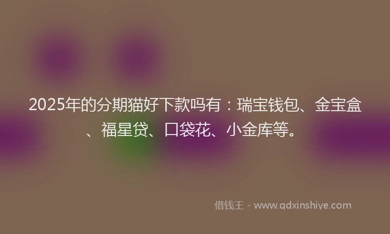 2025年的分期猫好下款吗有：瑞宝钱包、金宝盒、福星贷、口袋花、小金库等。