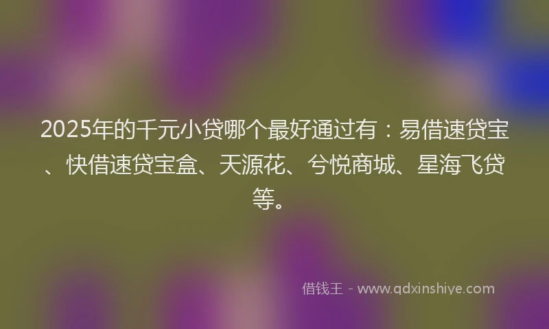 2025年的千元小贷哪个最好通过有：易借速贷宝、快借速贷宝盒、天源花、兮悦商城、星海飞贷等。