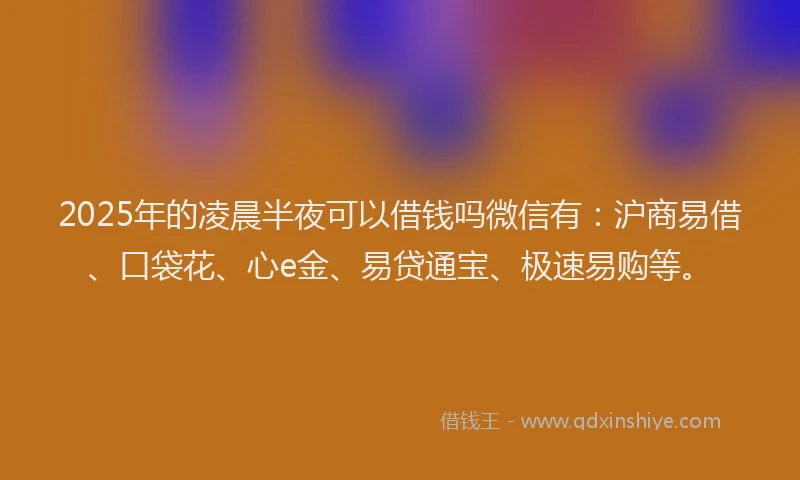 2025年的凌晨半夜可以借钱吗微信有：沪商易借、口袋花、心e金、易贷通宝、极速易购等。