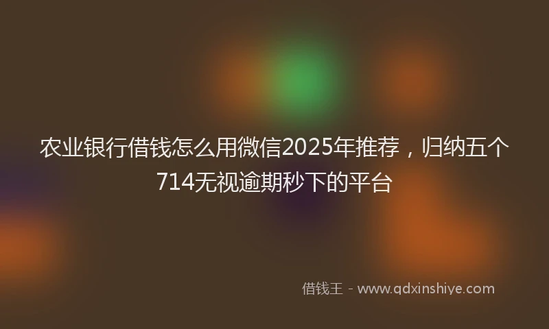 农业银行借钱怎么用微信2025年推荐，归纳五个714无视逾期秒下的平台