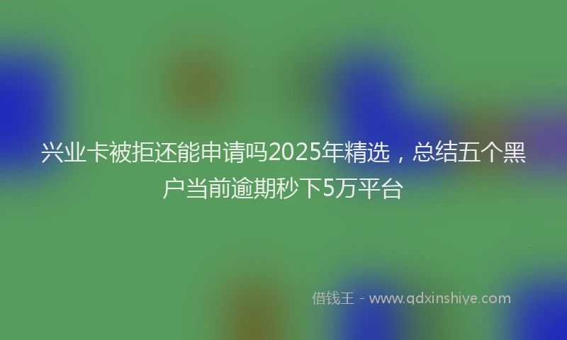 兴业卡被拒还能申请吗2025年精选，总结五个黑户当前逾期秒下5万平台