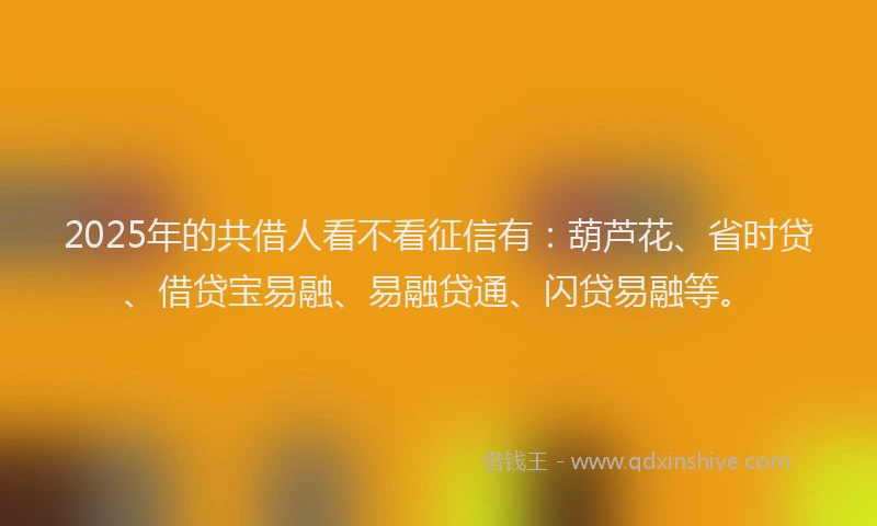 2025年的共借人看不看征信有：葫芦花、省时贷、借贷宝易融、易融贷通、闪贷易融等。
